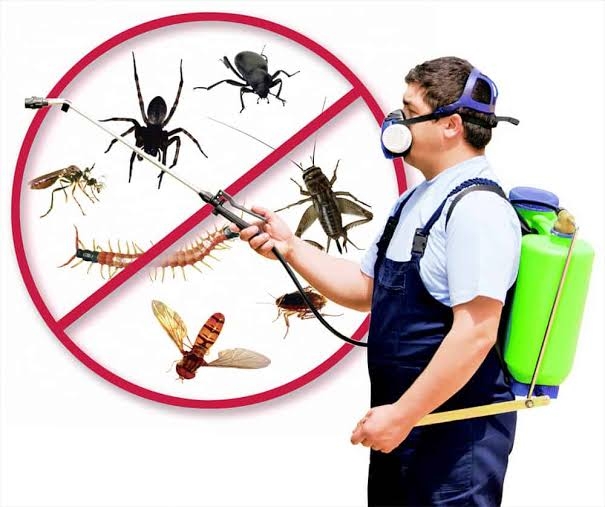 Trattamento biocida contro zanzare nelle aree pubbliche del Comune di Citerna in data 22/07/2026 dalle ore 23